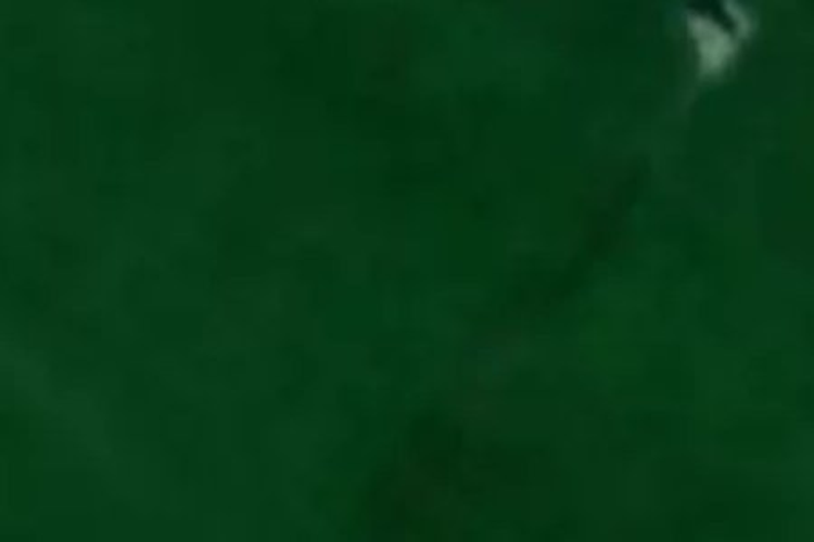 82d Rossendale Road_0