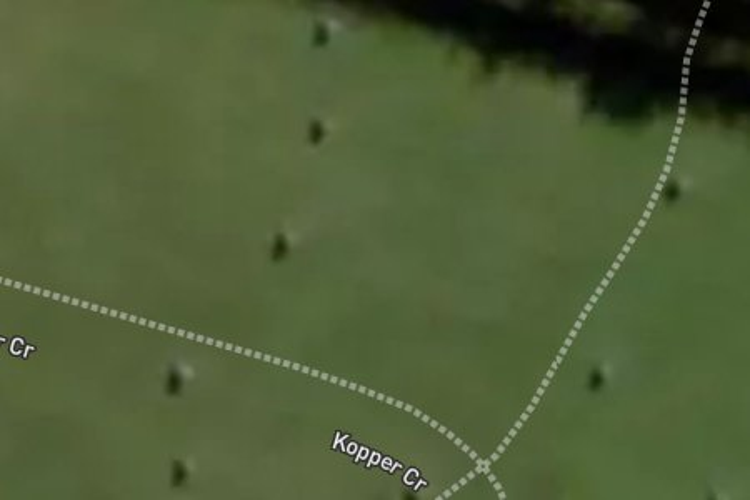 26 Kopper Crescent_0