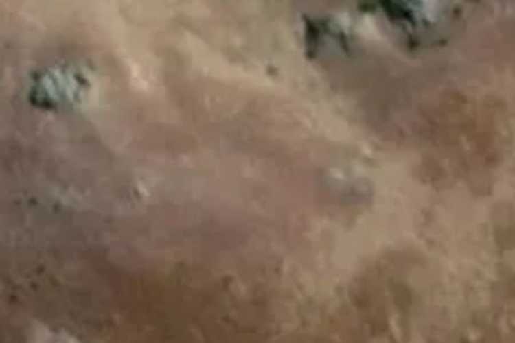 Omakau Chatto Ck Road_0