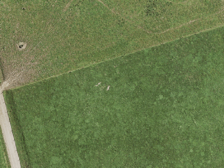 11 Tirikatene Avenue_0