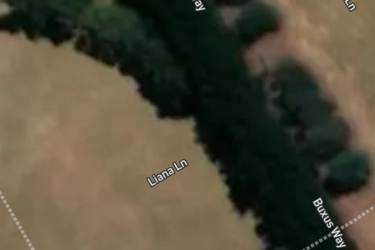 10 Buxus Way_0