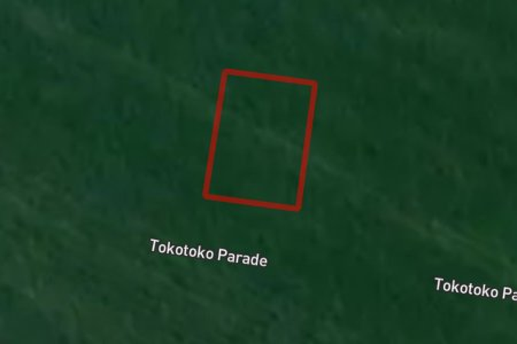 61 Tokotoko Parade_0