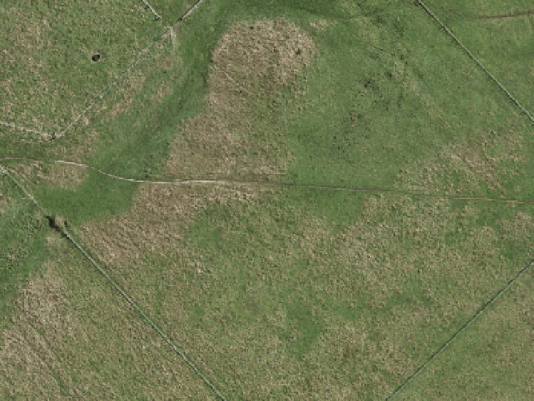 10 Hasted Road_0