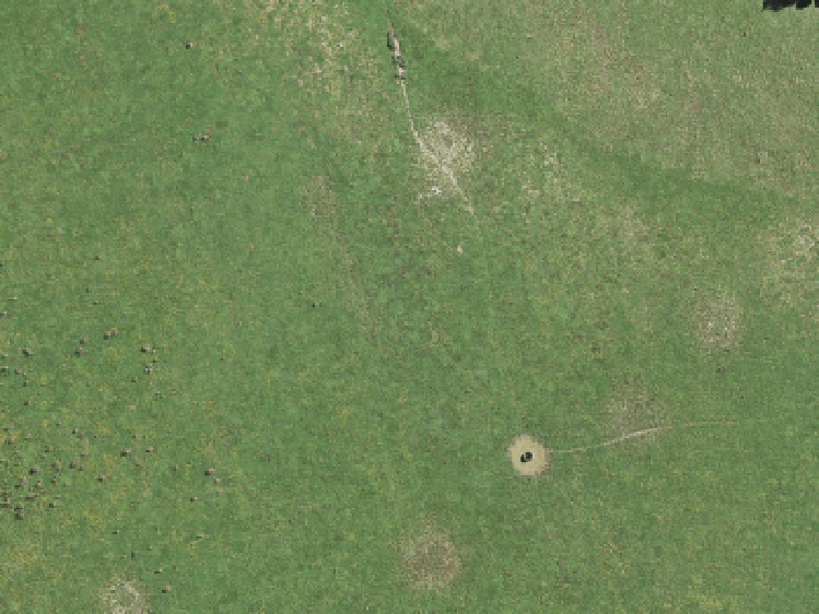 89 Shepherds Bush Road_0