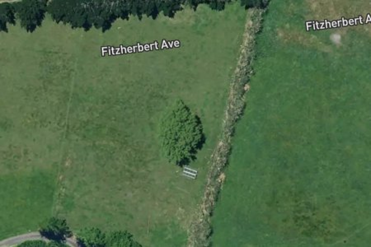 157 Fitzherbert Avenue_0