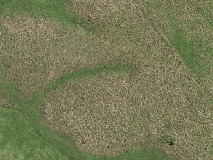 20 Wallis Esplanade_0