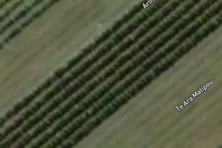 20 Arihi Crescent_0