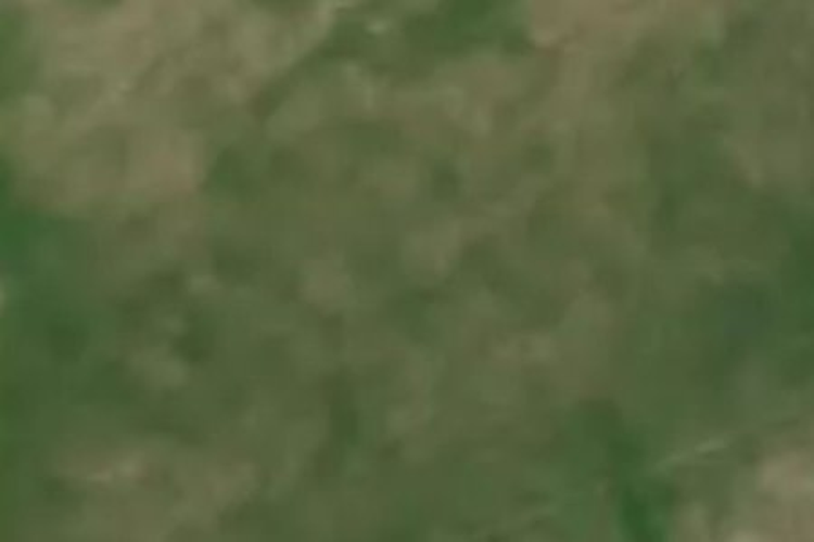 438 Cramptons Bush Road_0