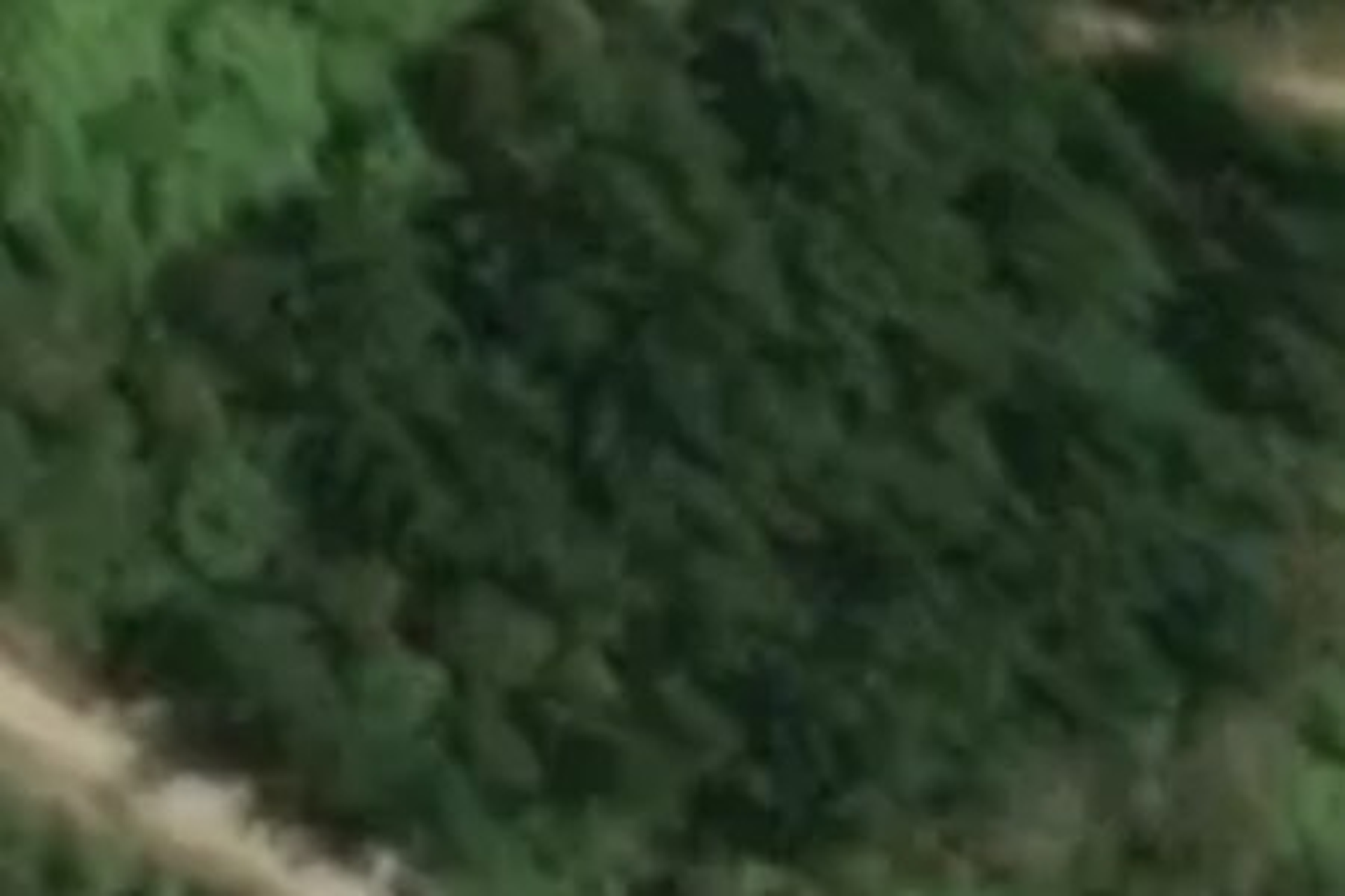 Lot 9 Te Puia Heights Mahakipawa_0