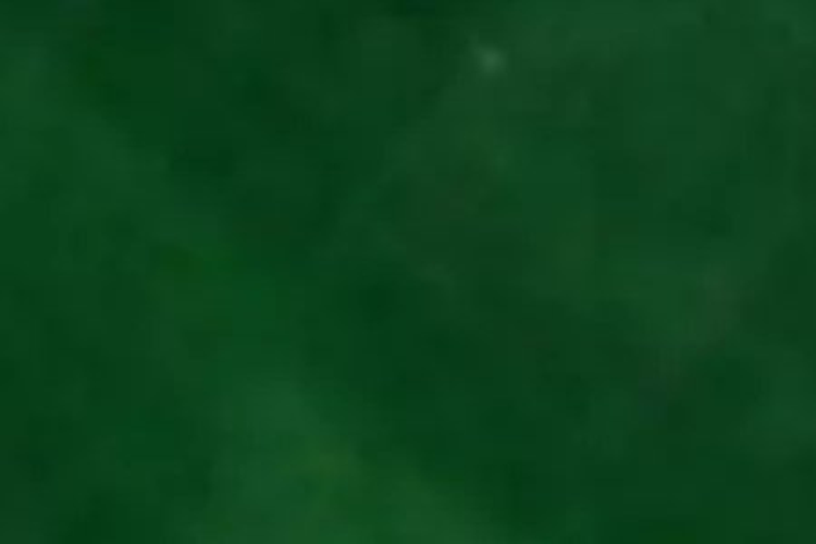 82b Rossendale Road_0