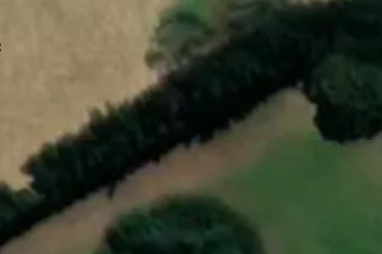 17 Korimako Crescent_0