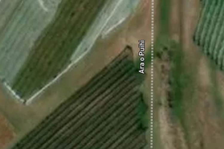 9 Ara O Puihi_0