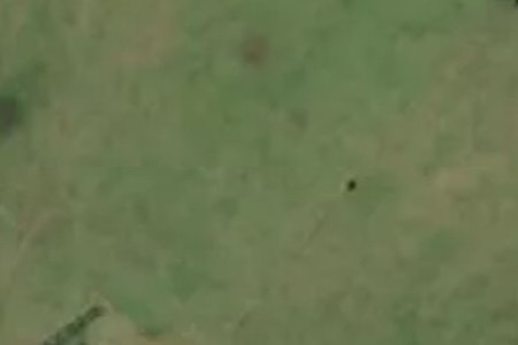 196 Showground Road_0