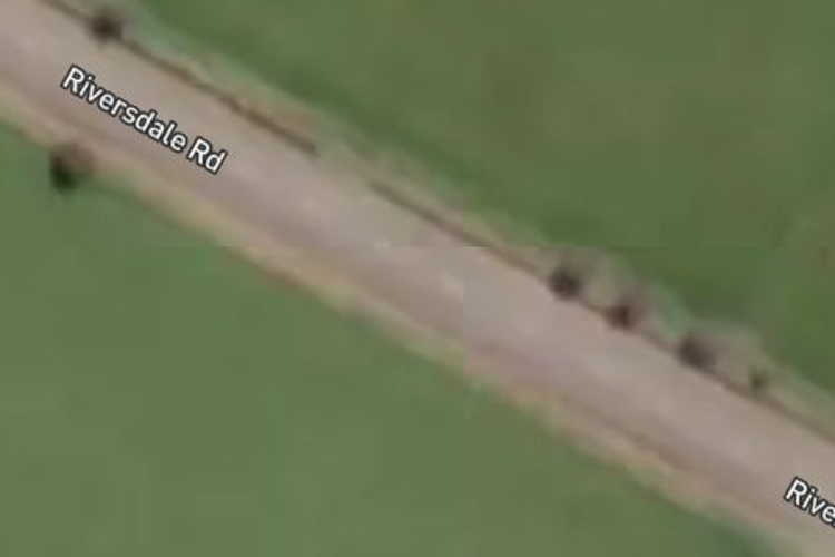 Lot 40 Riversdale Holiday Park_0