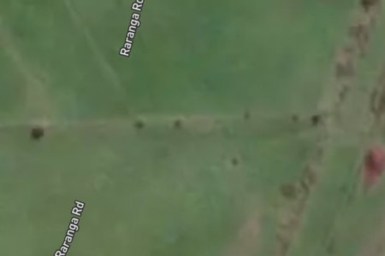21 Raranga Road_0