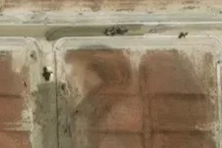 18 Leven Stream Lane_0