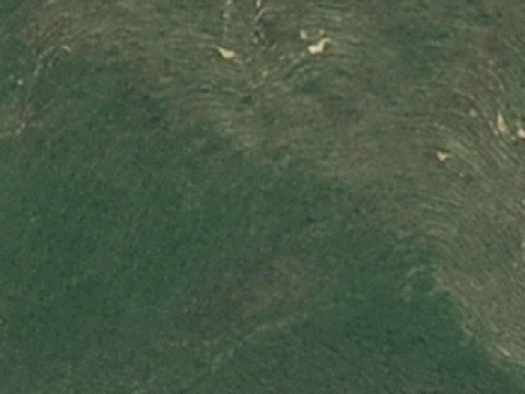 521 Orapiu Road_0