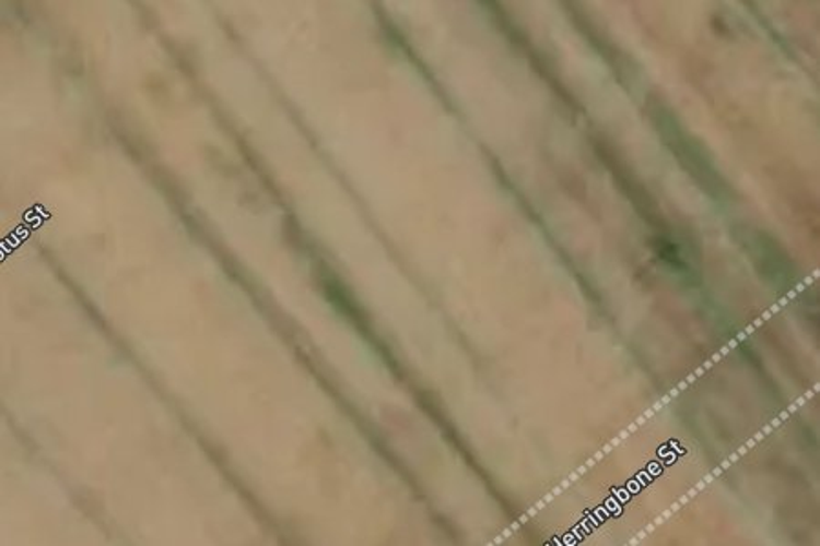 24 Herringbone Street_0