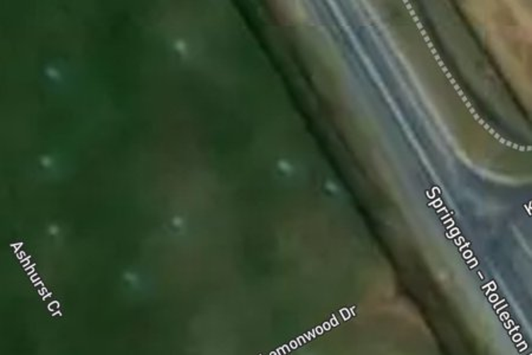 199 Lemonwood Drive_0