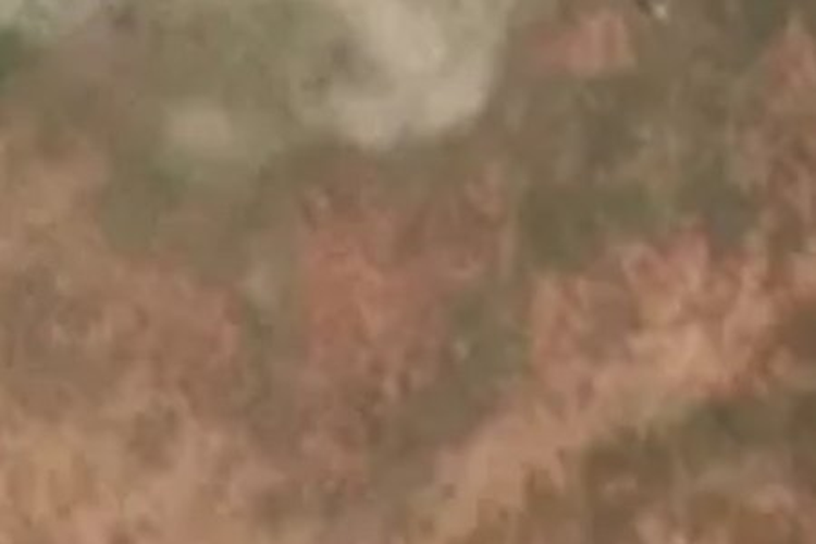 23 Buttercup Street_0