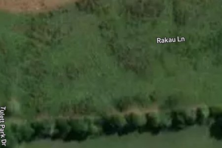 2 Rakau Lane_0