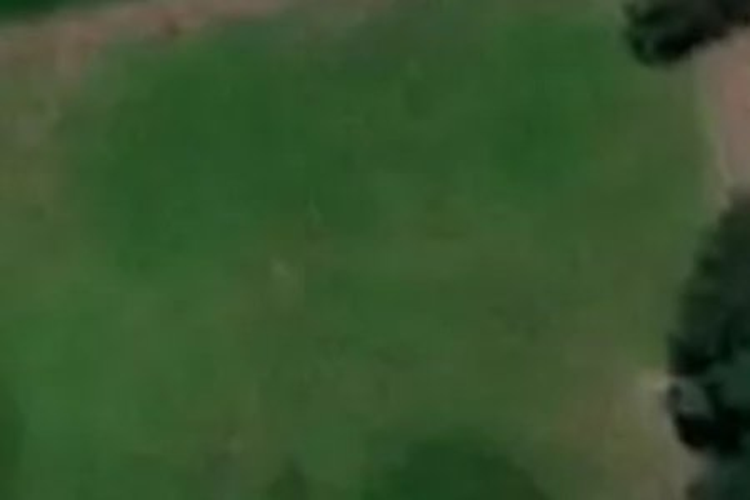8 Mcgrath Lane_0