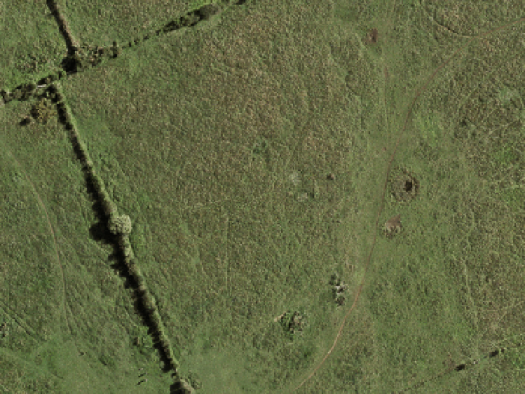 8 Tara Lane_0