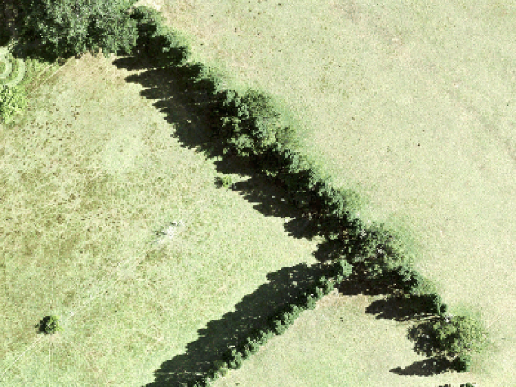 27 Mataikokako Loop_0