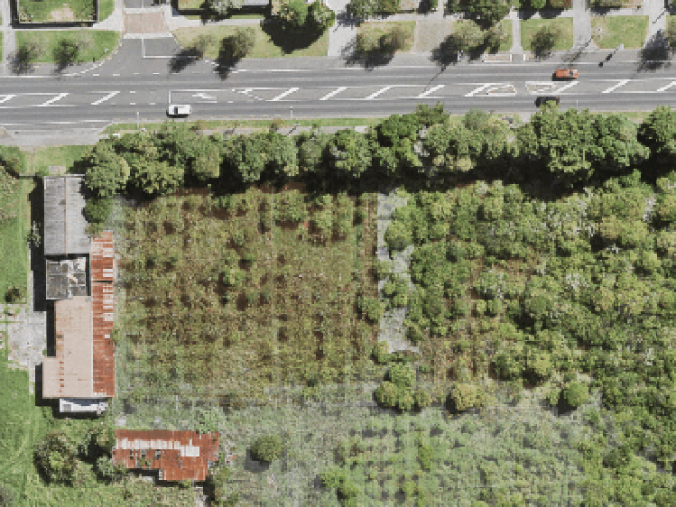 4/666 Swanson Road_0