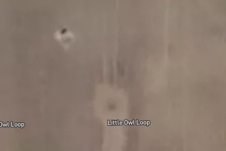 64 Little Owl Loop_0