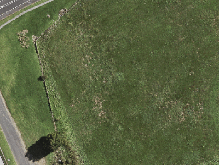 100 Te Tihi Street_0