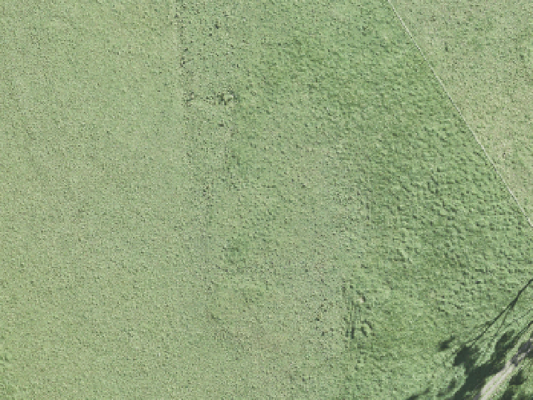 23 Parkland Loop_0