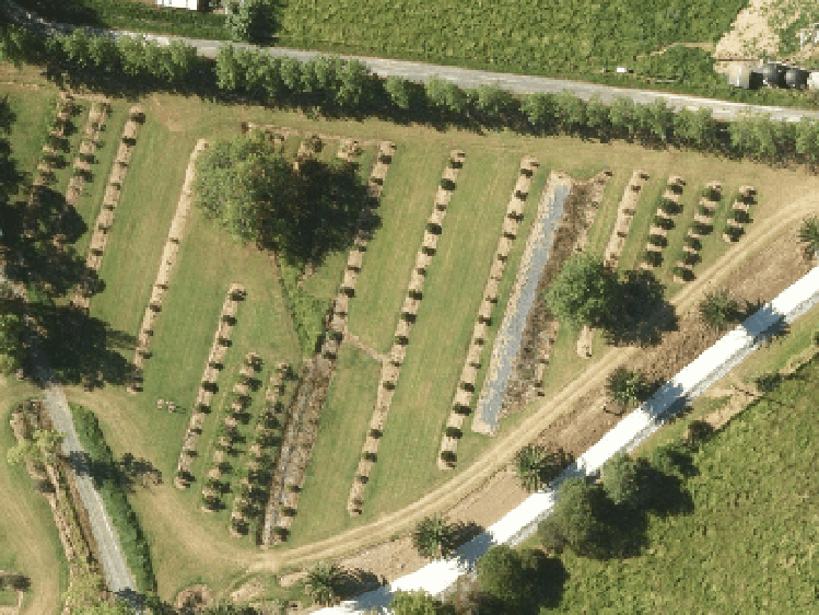 576 Mahurangi East Road_0