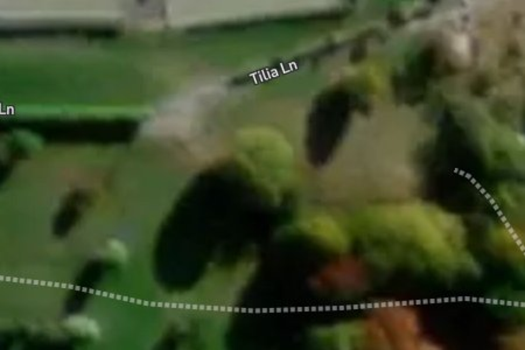 1/1 Tilia Lane_0