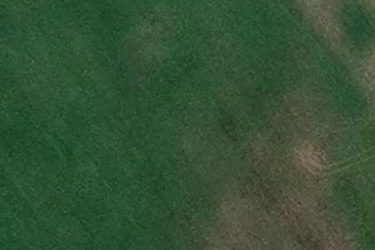 South Featherston Road_0