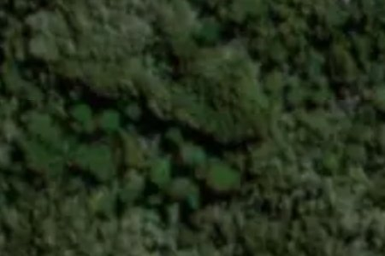Branch Leatham_0