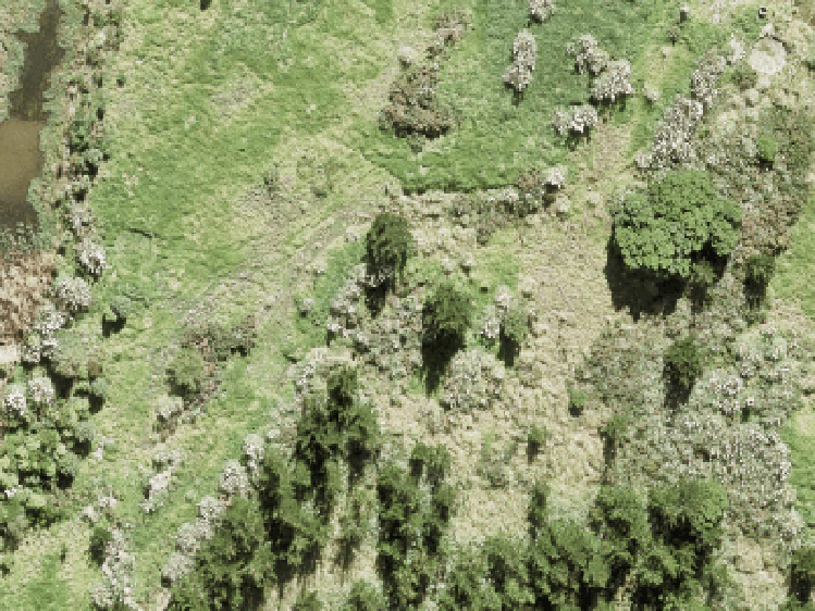 23 Whakairo Crescent_0