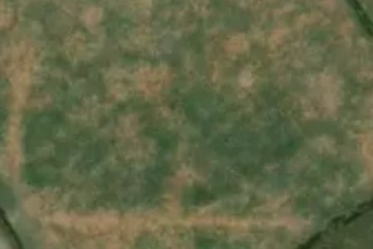 137 Awaiti West Road_0