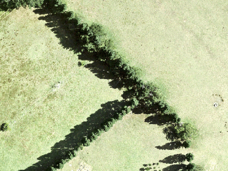 25 Mataikokako Loop_0