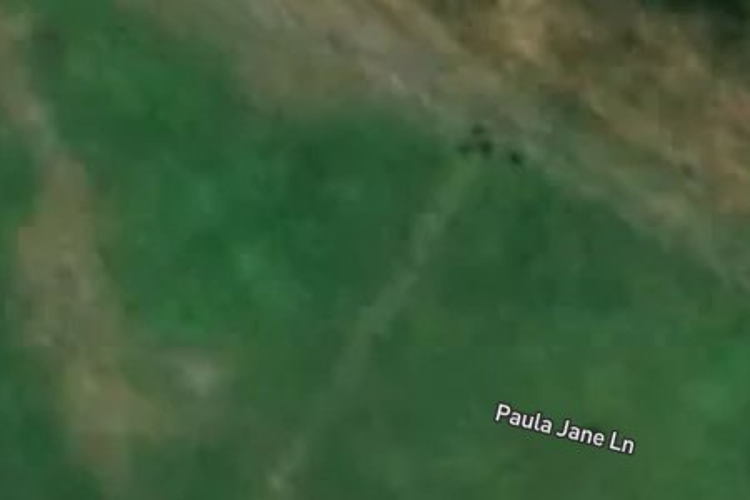 4 Paula Jane Lane_0