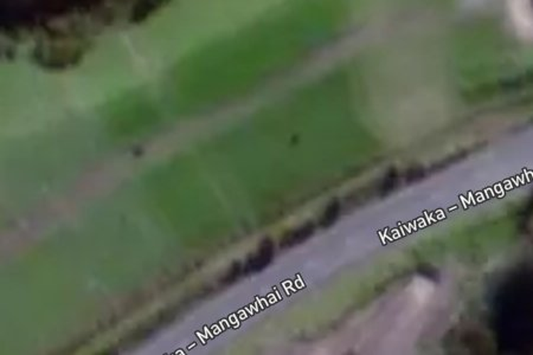 599 Kaiwaka-Mangawhai Road_0