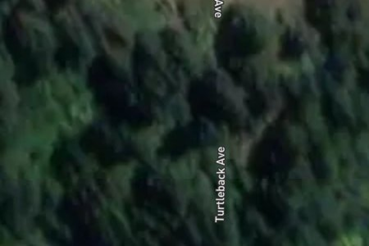 42 Turtleback Avenue_0