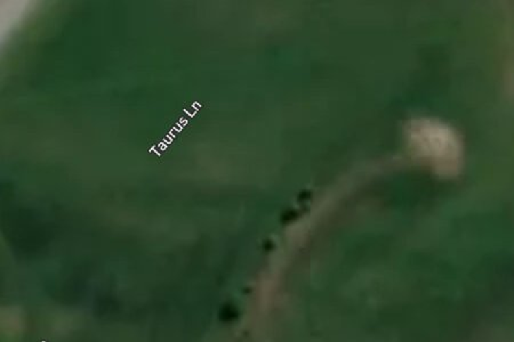 Maori Jack Road_0