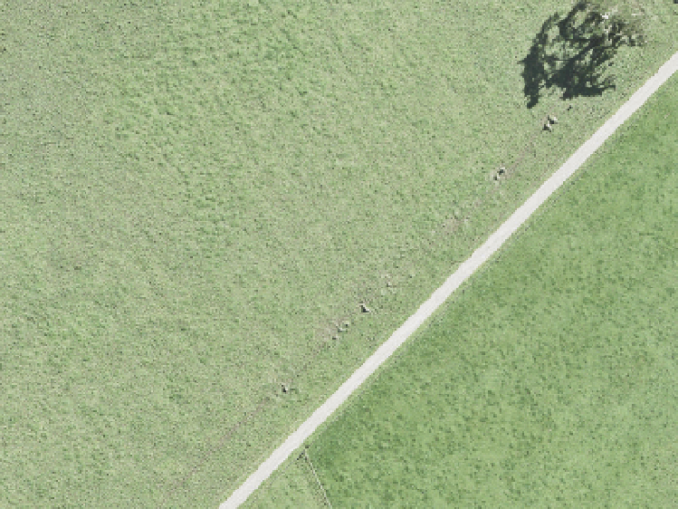 Wainui_0