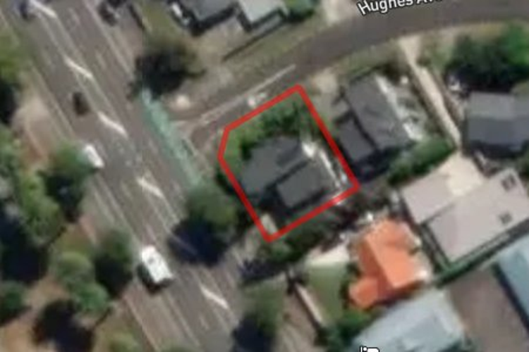 297 Fitzherbert Avenue_0