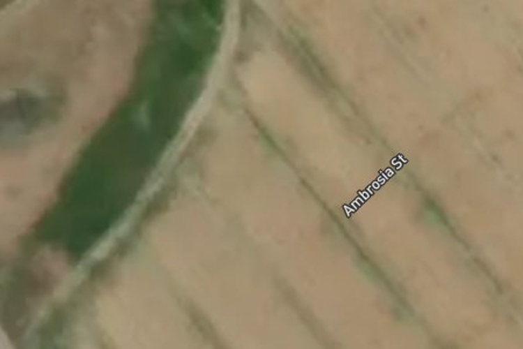 24 Ambrosia Street_0