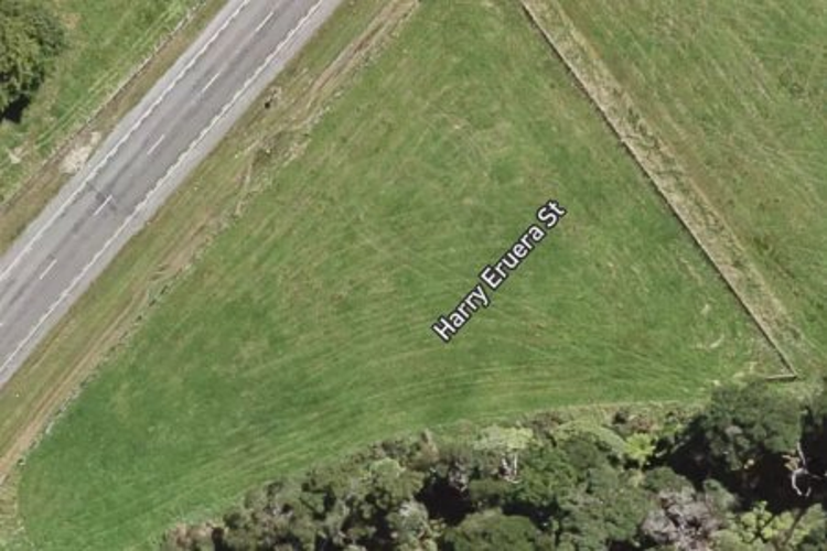 16 Harry Eruera Street_0