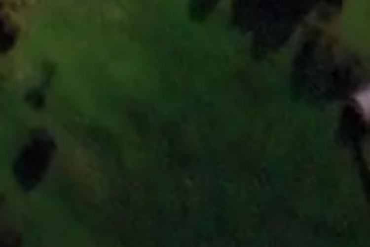 Anderson Park Drive_0