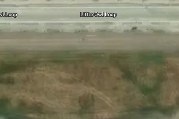 73 Little Owl Loop_0