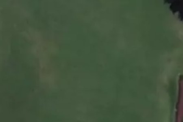 Goodwood Settlement_0